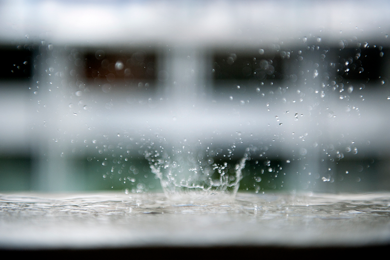 Illustration for article titled Shooting Challenge: Bokeh, Gallery 3